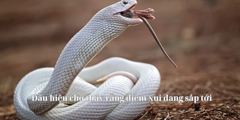 Dấu hiệu cho thấy rằng điềm xui đang sắp tới